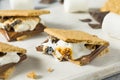 Sweet Homemade Chocolate Smores Dessert