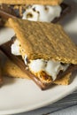 Sweet Homemade Chocolate Smores Dessert