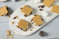 Sweet Homemade Chocolate Smores Dessert