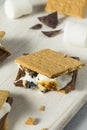 Sweet Homemade Chocolate Smores Dessert