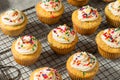 Sweet Homemade Funfetti Cupcakes Royalty Free Stock Photo