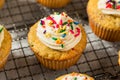 Sweet Homemade Funfetti Cupcakes Royalty Free Stock Photo