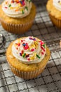 Sweet Homemade Funfetti Cupcakes Royalty Free Stock Photo