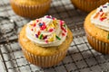 Sweet Homemade Funfetti Cupcakes Royalty Free Stock Photo