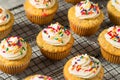 Sweet Homemade Funfetti Cupcakes Royalty Free Stock Photo