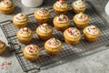 Sweet Homemade Funfetti Cupcakes Royalty Free Stock Photo