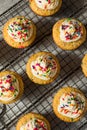 Sweet Homemade Funfetti Cupcakes Royalty Free Stock Photo