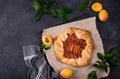 Sweet homemade galette pie with apricots Royalty Free Stock Photo