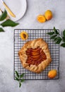 Sweet homemade galette pie with apricots Royalty Free Stock Photo