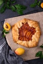 Sweet homemade galette pie with apricots Royalty Free Stock Photo