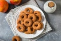 Sweet Homemade Mini Apple Cider Donuts Royalty Free Stock Photo