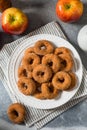 Sweet Homemade Mini Apple Cider Donuts Royalty Free Stock Photo
