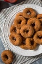 Sweet Homemade Mini Apple Cider Donuts Royalty Free Stock Photo