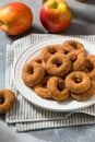 Sweet Homemade Mini Apple Cider Donuts Royalty Free Stock Photo