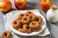 Sweet Homemade Mini Apple Cider Donuts Royalty Free Stock Photo