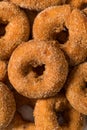Sweet Homemade Mini Apple Cider Donuts Royalty Free Stock Photo