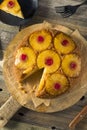 Sweet Homemade Pineapple Upside Down Cake Royalty Free Stock Photo