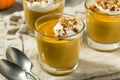 Sweet Homemade Pumpkin Pudding Royalty Free Stock Photo