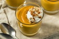 Sweet Homemade Pumpkin Pudding Royalty Free Stock Photo