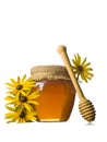 Sweet Honey Royalty Free Stock Photo