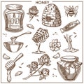 Sweet honey from apiary isolated cartoon illustrations set