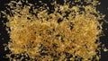 Sweet honey explosion drop on black bg super slow motion 1000 FPS 3d Royalty Free Stock Photo