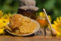 Sweet honey honeycomb. Honey with honey dipper Royalty Free Stock Photo