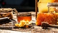 Sweet honey, pieces of combs and honey dipper. Honey dripping from honey dipper. Honey, Honeycomb, Honey Bee. Beekeeping concept.