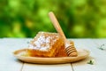 Sweet honeycomb and dipper, white wooden background