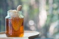 Sweet honeycomb and wooden Honey dripping. Honey dipper Royalty Free Stock Photo