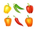 Sweet and hot chili peppers set. Red, yellow and green whole vegetables vector illustration Royalty Free Stock Photo