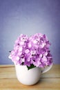 The sweet hydrangea flowers in white vase