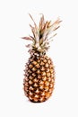 Sweet isolated ananas pineapple