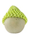 Sweet Japanese melon in green net foam protection on white background, looks like head and hat. Royalty Free Stock Photo