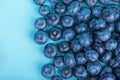 Sweet and juicy bilberries. Blueberries on a bright blue background, top view. Healthful and tasty berries, close-up. Summer fruit Royalty Free Stock Photo