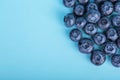 Sweet and juicy bilberries. Blueberries on a bright blue background, top view. Healthful and tasty berries, close-up. Summer fruit Royalty Free Stock Photo