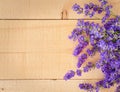 Sweet Lavender Flowers on Rough Wood Horizontal