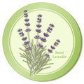 Sweet Lavender Herb Icon Royalty Free Stock Photo