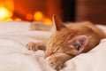 Sweet lazy evening at the fireplace - orange kitten lying on white blanket sleeping