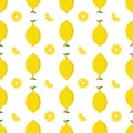 Sweet Lemon Fruits Seamless Pattern Background - Nature