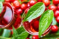 Sweet liqueur made from ripe cornelian cherry Royalty Free Stock Photo