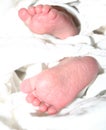 Sweet Little Baby Feet Royalty Free Stock Photo