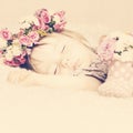 Sweet Little Baby Girl Sleeping in Pink Rose Flowers. Toned Vintage Beauty Background Royalty Free Stock Photo