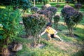 Sweet little boy and Pennon rabbit bunnies are sitting on green grass. Friendship between humans and animals. Children and pets