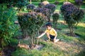 sweet little boy and Pennon rabbit bunnies are sitting on green grass. Friendship between humans and animals. Children and pets Royalty Free Stock Photo