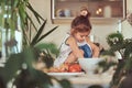 Sweet little cute girl learns to cook a meal in the kitchen. Royalty Free Stock Photo