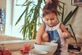 Sweet little cute girl learns to cook a meal in the kitchen. Royalty Free Stock Photo