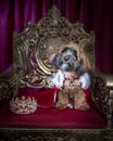 Royal dog portrait with jeweled crown, cape and gold throne