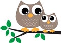 A sweet little owl family Royalty Free Stock Photo