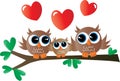 A sweet little owl family Royalty Free Stock Photo